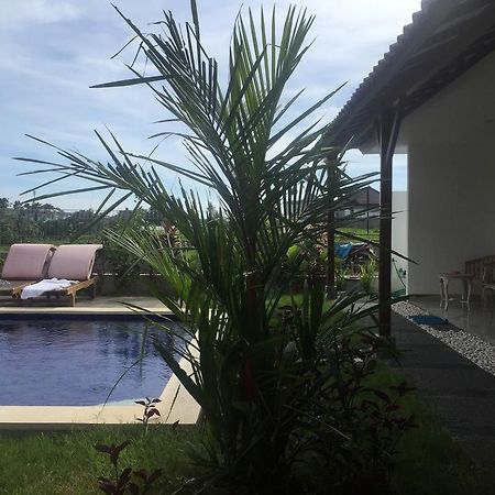 Pererenan Nengah Guest House Canggu  Luaran gambar