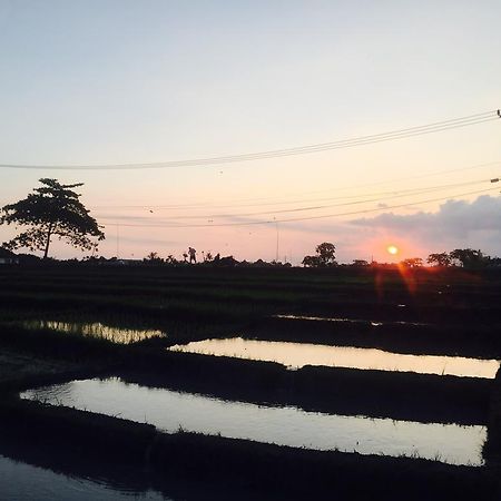 Pererenan Nengah Guest House Canggu  Luaran gambar