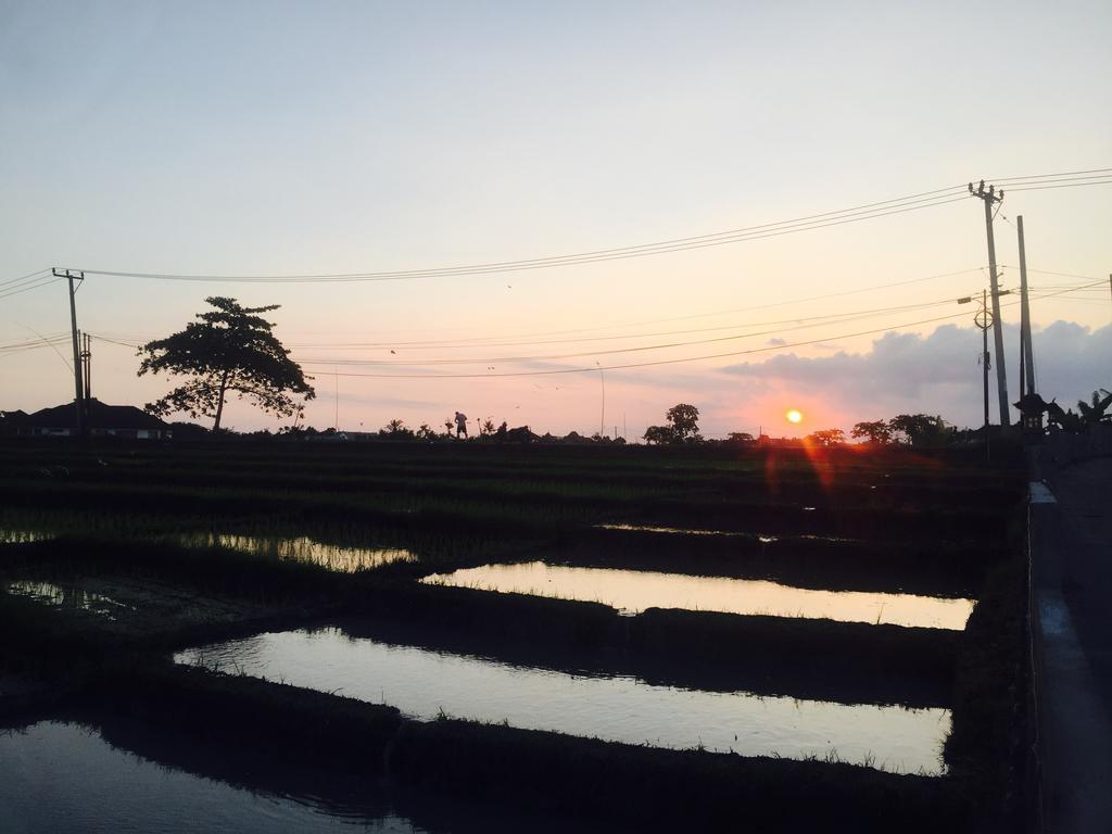 Pererenan Nengah Guest House Canggu  Luaran gambar